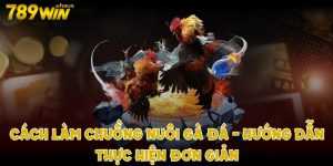 Cách làm chuồng nuôi gà đá - Hướng dẫn thực hiện đơn giản