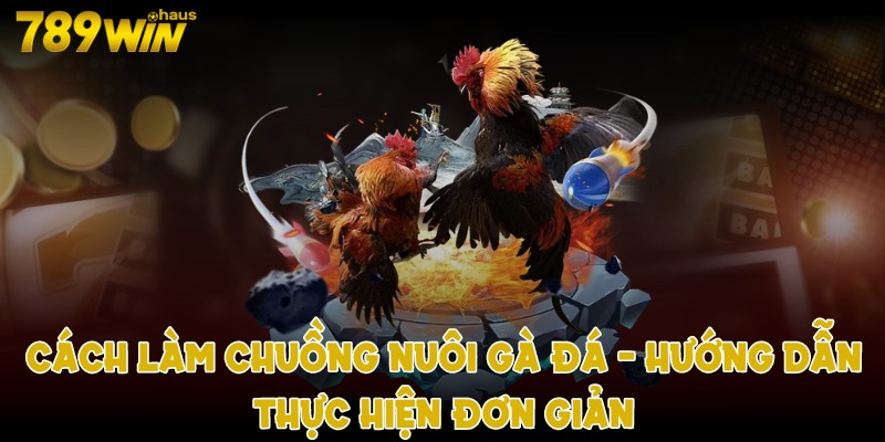 Cách làm chuồng nuôi gà đá - Hướng dẫn thực hiện đơn giản